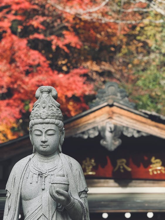 Fotos de stock gratuitas de Buda, calma, estatua