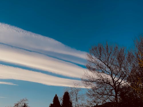 オレンジ色の空, オレンジ色の雲, カラフルな空の無料の写真素材