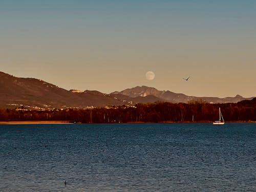 Foto profissional grátis de água do lago, arquipélago, calendário lunar