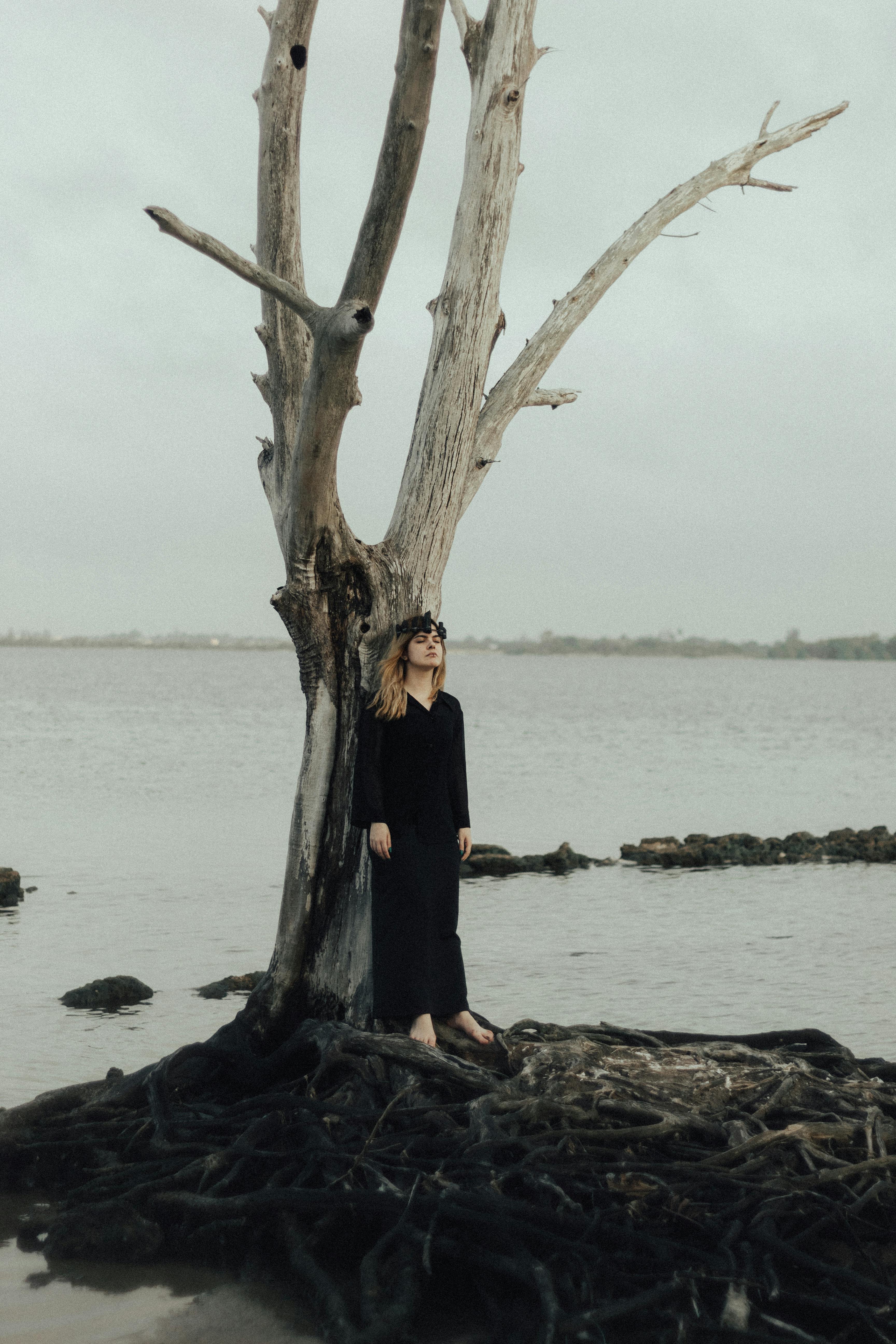 A lone woman in a black dress stands by a dead tree on an overcast shoreline.