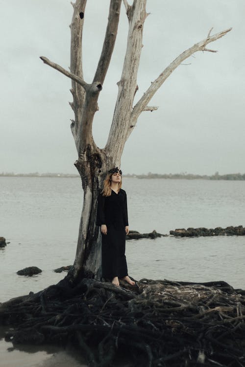 Woman in a Black Dress Standing under a Dry Tree on the Shore 