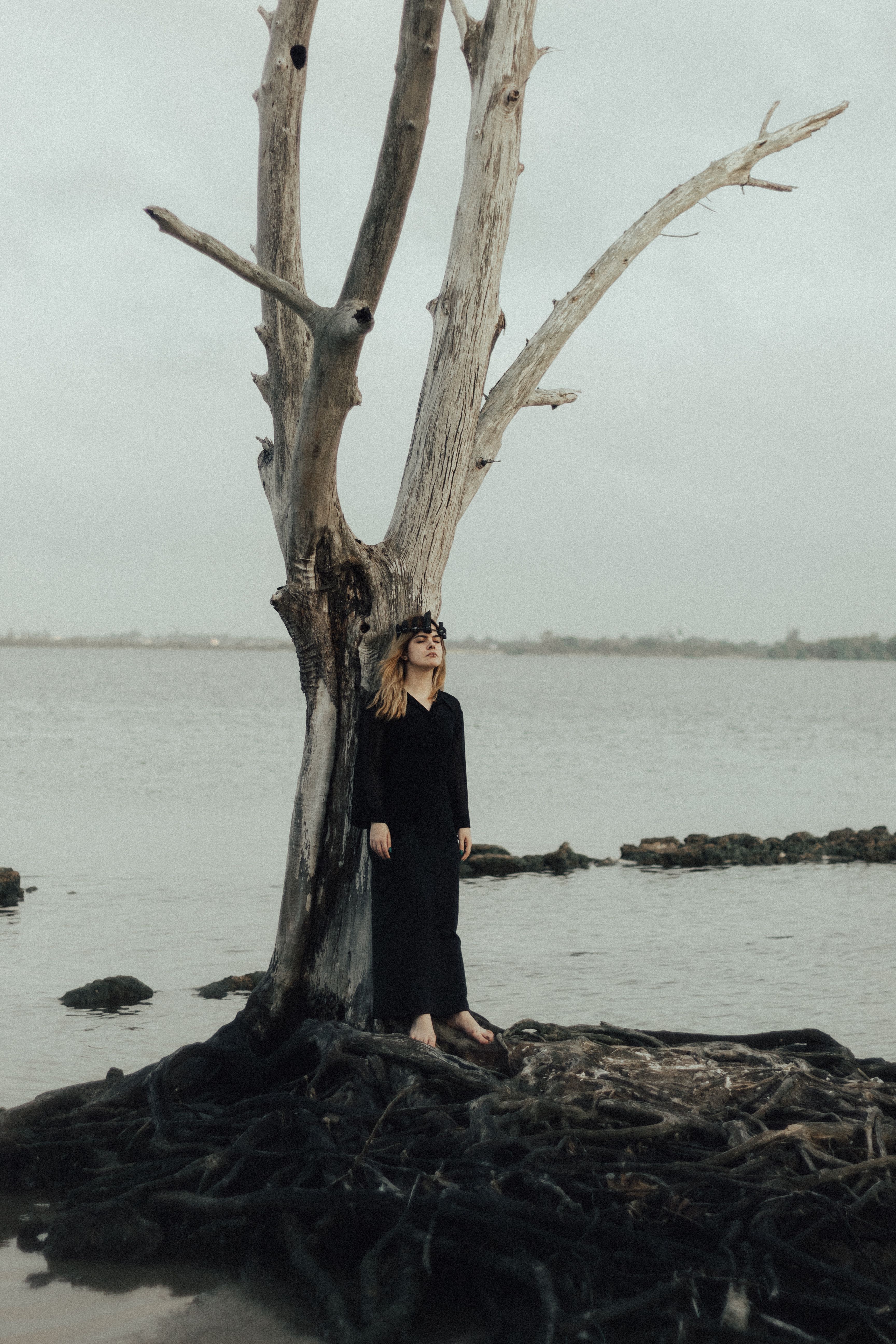 Woman in a Black Dress Standing under a Dry Tree on the Shore · Free ...