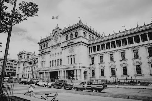 Foto stok gratis fasad, hitam & putih, istana negara