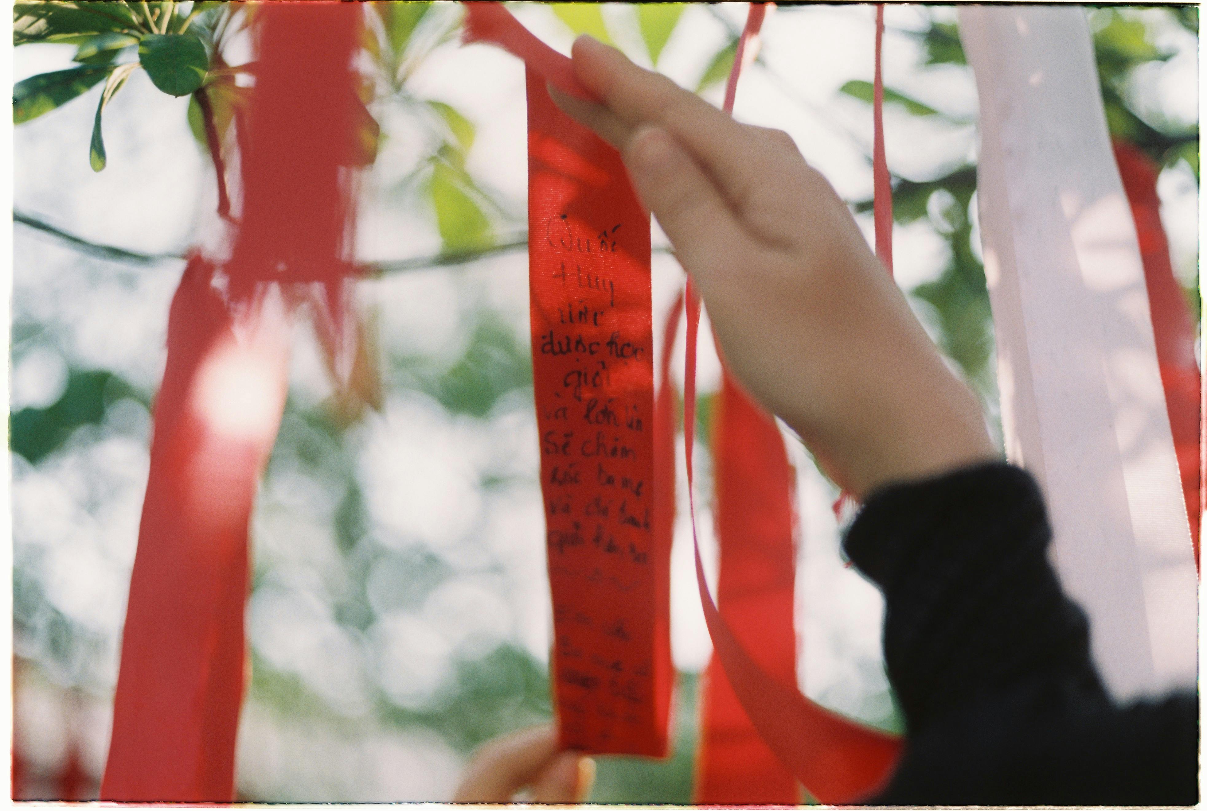 A close-up of a hand holding a wish ribbon hanging from a tree outdoors during the day.