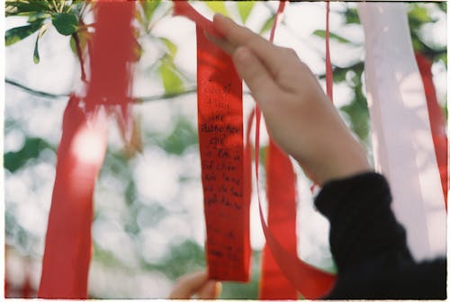 Hanging Wish Ribbons on Tree