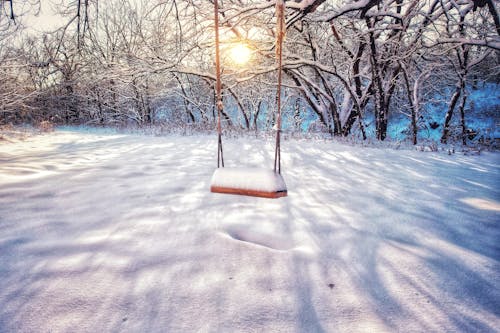 大雪覆盖的地面, 搖擺, 日出 的 免费素材图片