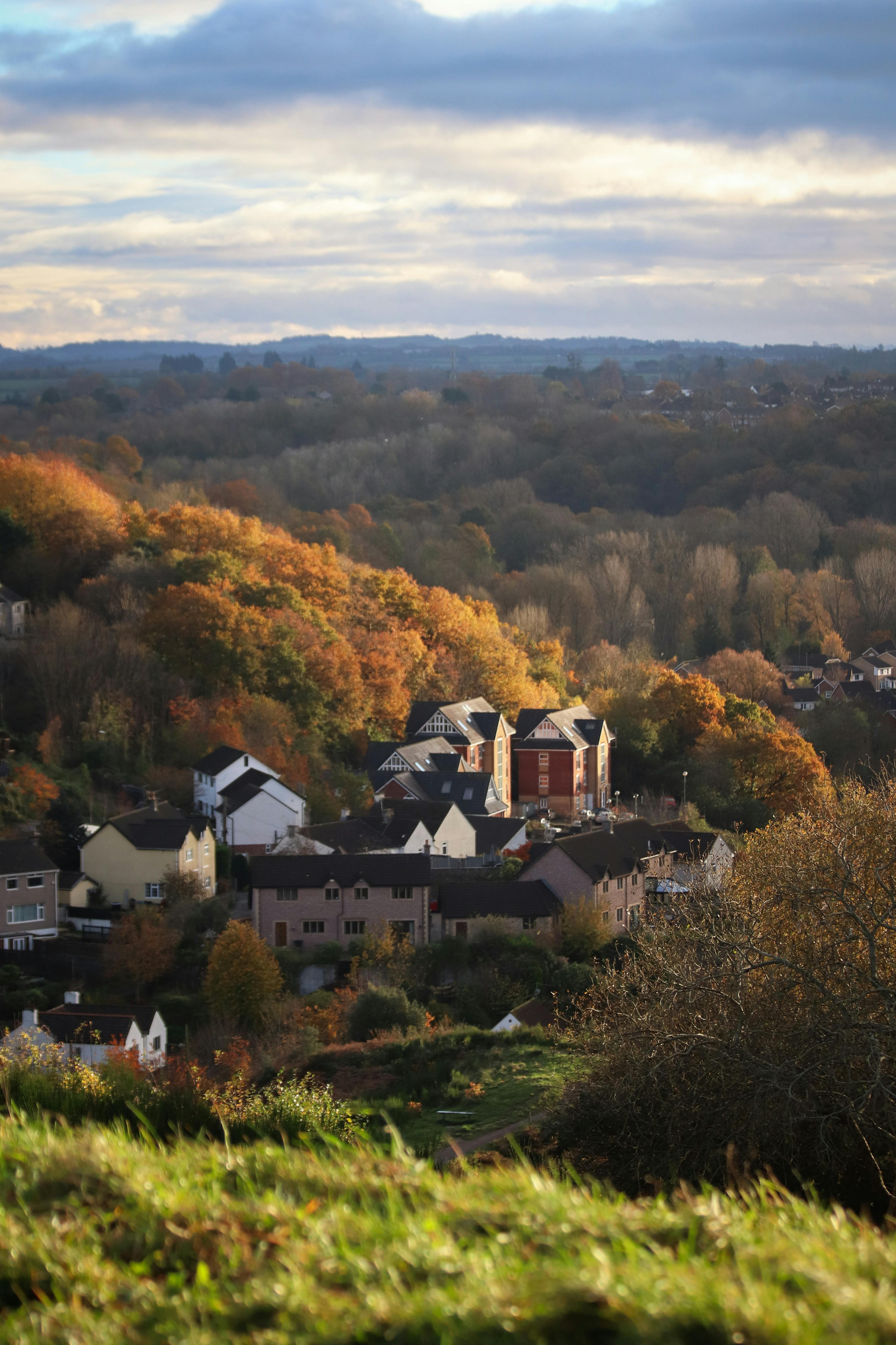 Tree-lined neighborhood with homes in autumn foliage, wide view of available housing stock