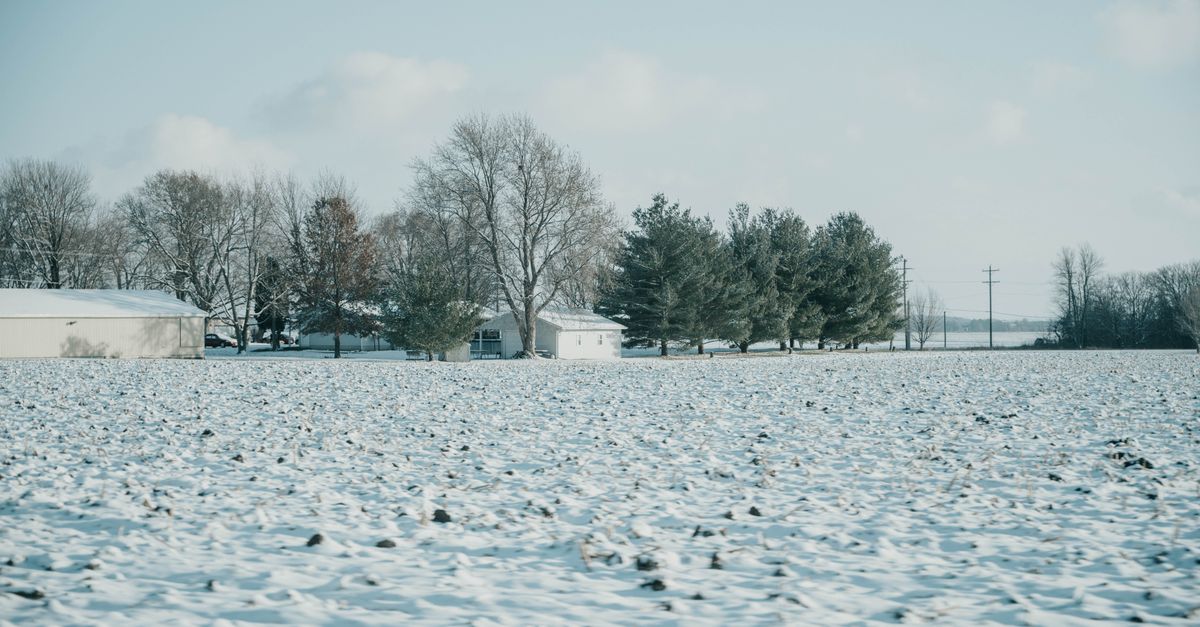 Scenic winter view of a snow-covered farm in rural Dixon, Illinois, with trees and buildings.