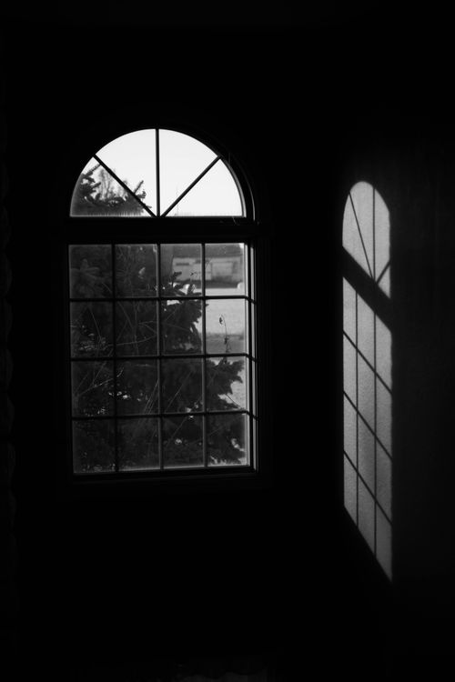 Free Dark interior with arched window casting shadows, framing a tree view. Stock Photo