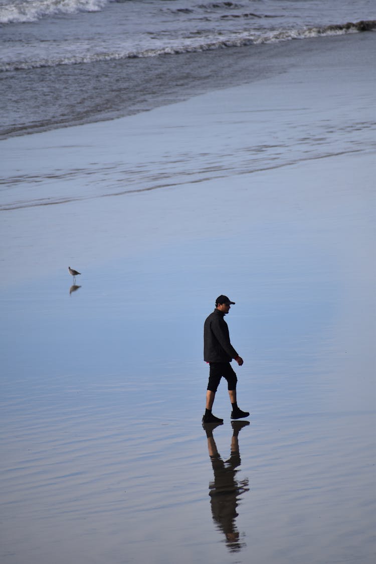 Man Walking On A Beach 