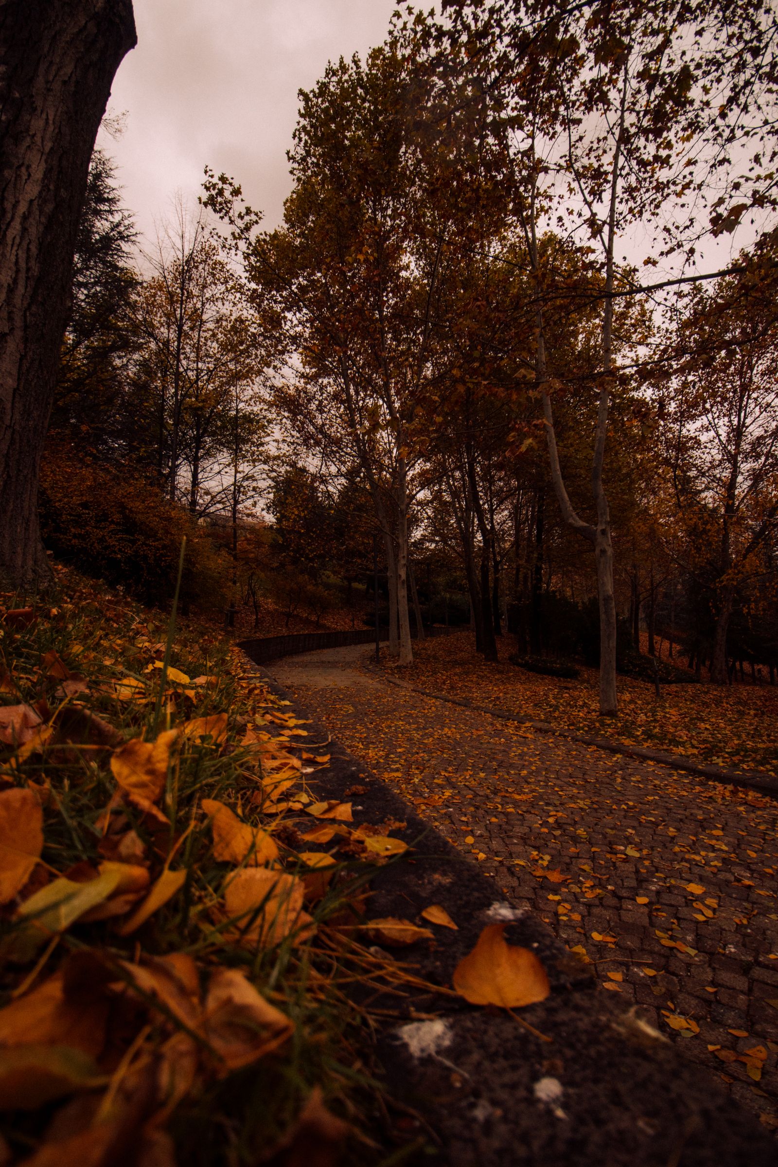 Icey Path Photos, Download The BEST Free Icey Path Stock Photos & HD Images