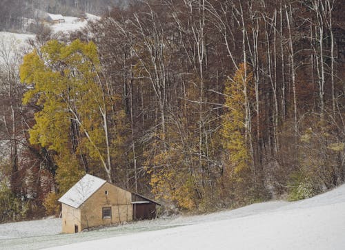 Tiny House on Snowy Hillside by Trees