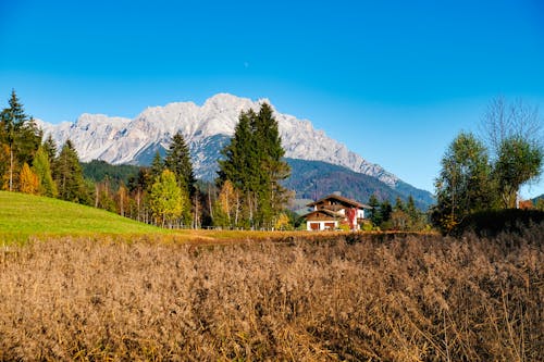 Scenic Landscape of a Wooden House on a Field in a Valley and Rocky Mountains under Blue Sky 