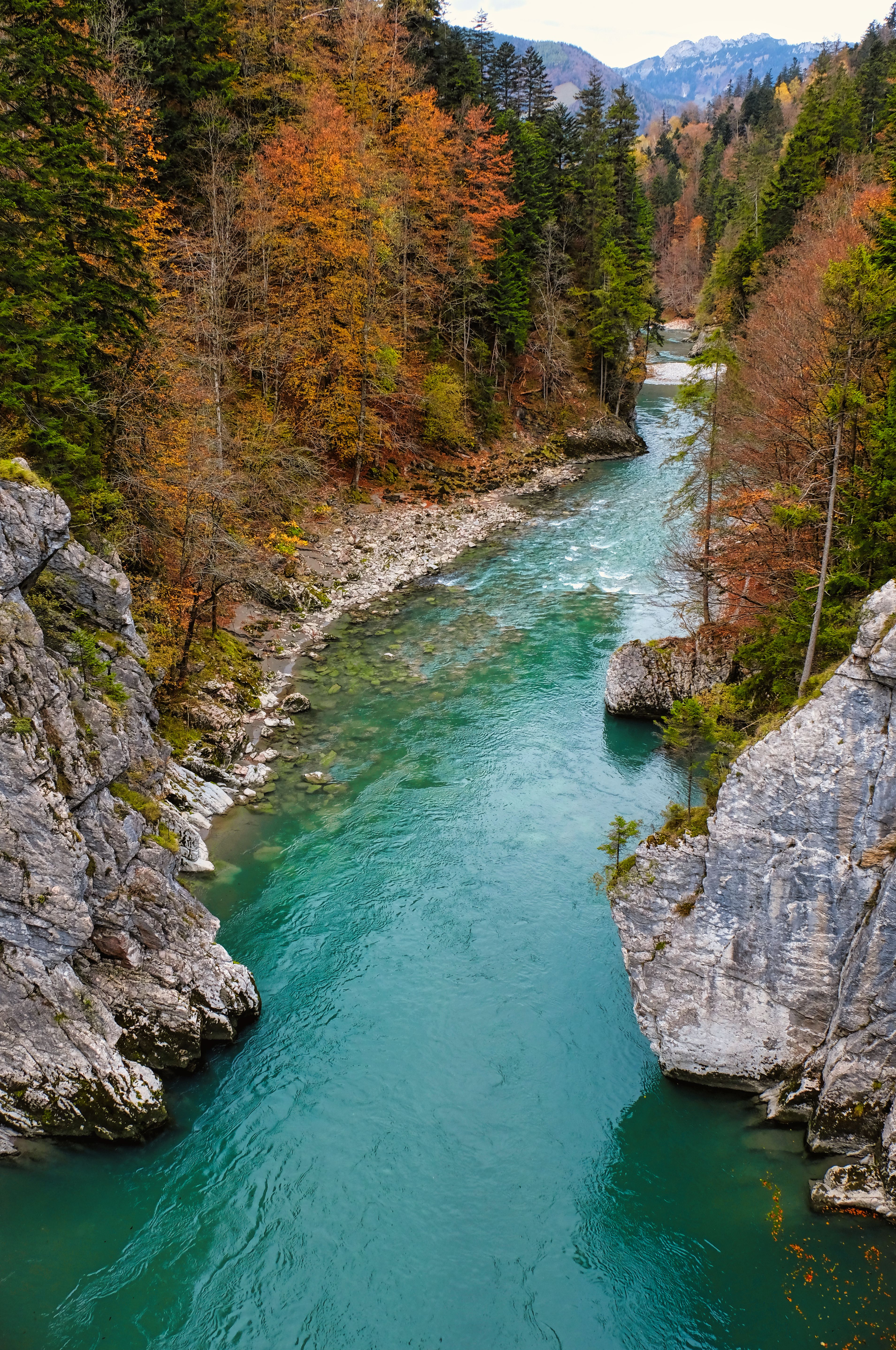 Scenic View of the Entenloch Gorge between Autumnal Trees · Free Stock ...