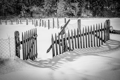 Black and White Photo of a Wooden Fence with an Open Gate and Ground Covered in Snow 