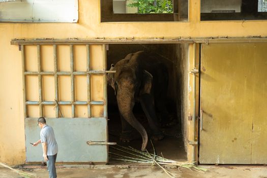 Zookeeper