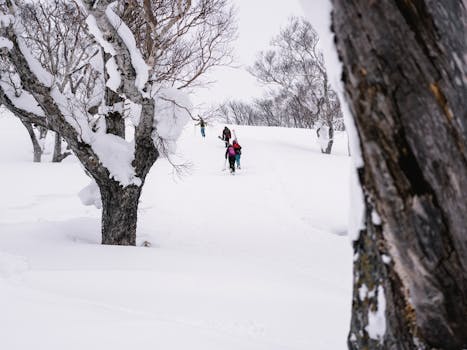 Skiers trekking through a snow-covered landscape framed by frosty tree branches.