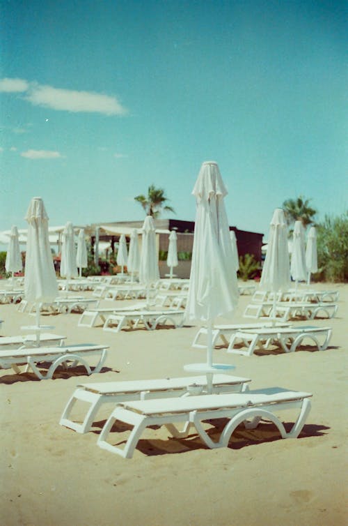 Empty Deck Chairs and Umbrellas on a Sandy Beach