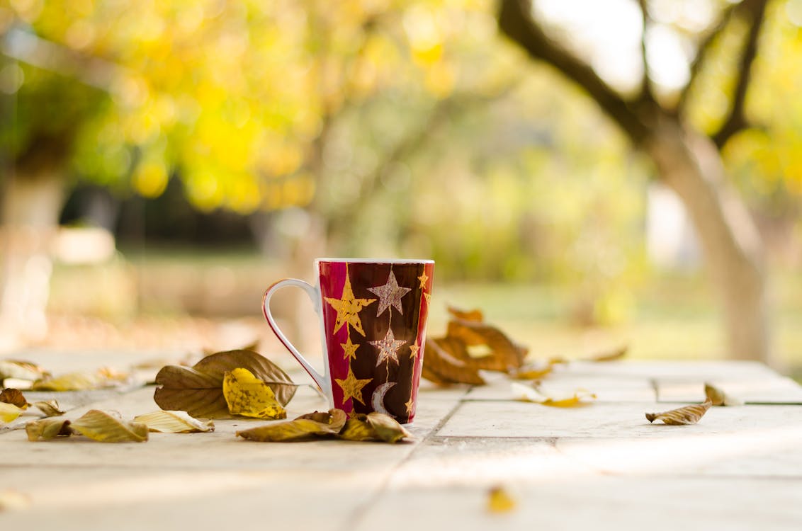 Mug Standing Outdoors amid Fallen Autumn Leaves