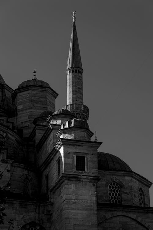 Immagine gratuita di architettura ottomana, bianco e nero, biglia