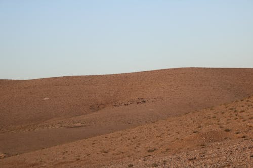 Dry Arid Brown Hill in Jordan