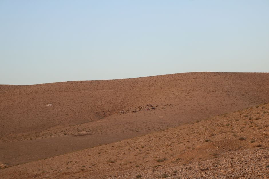 تاريخ الدولة اليمنية الحديثة