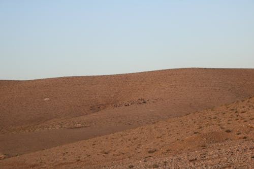 Free Dry Arid Brown Hill in Jordan Stock Photo