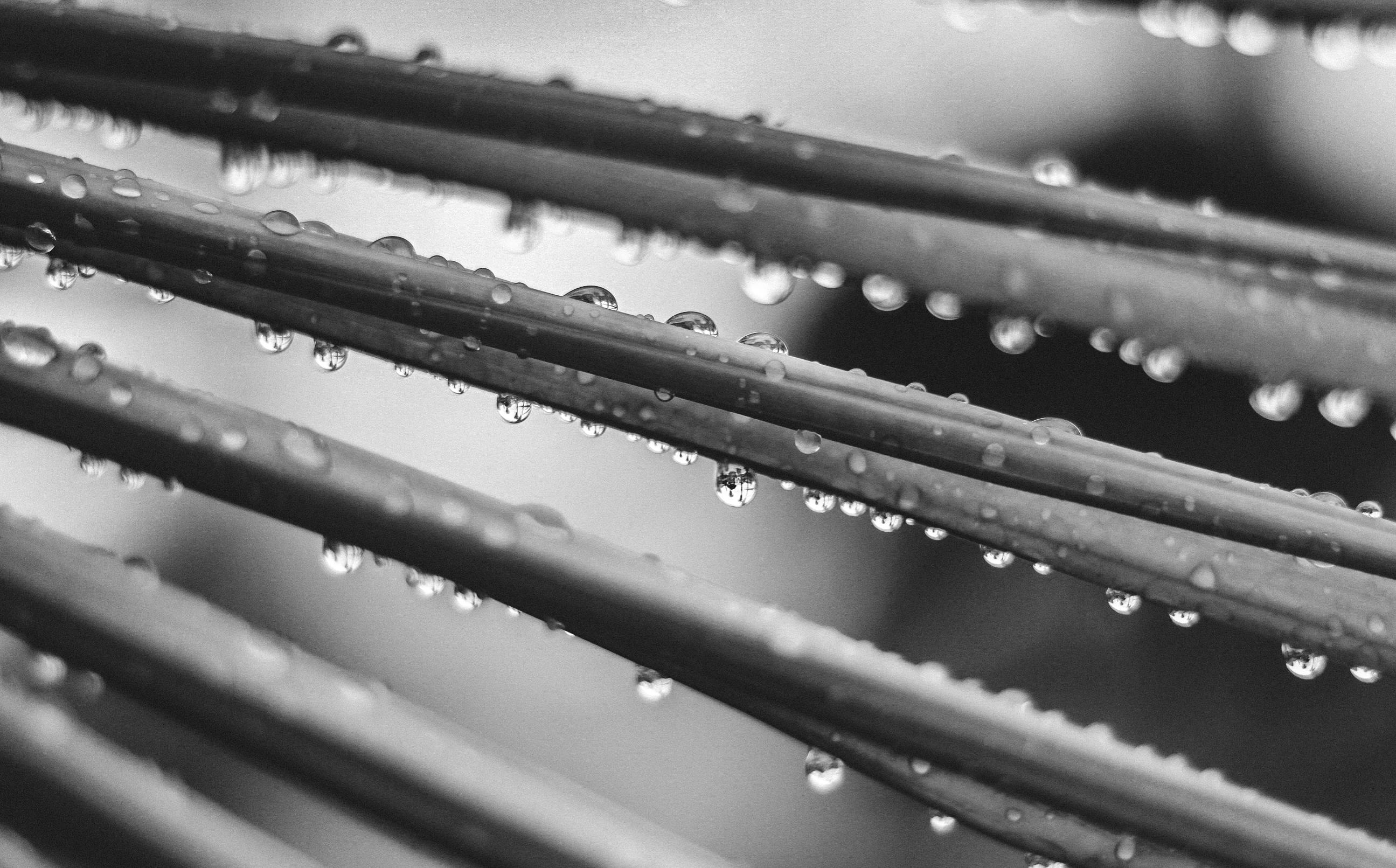 Free stock photo of after the rain, black and white, water