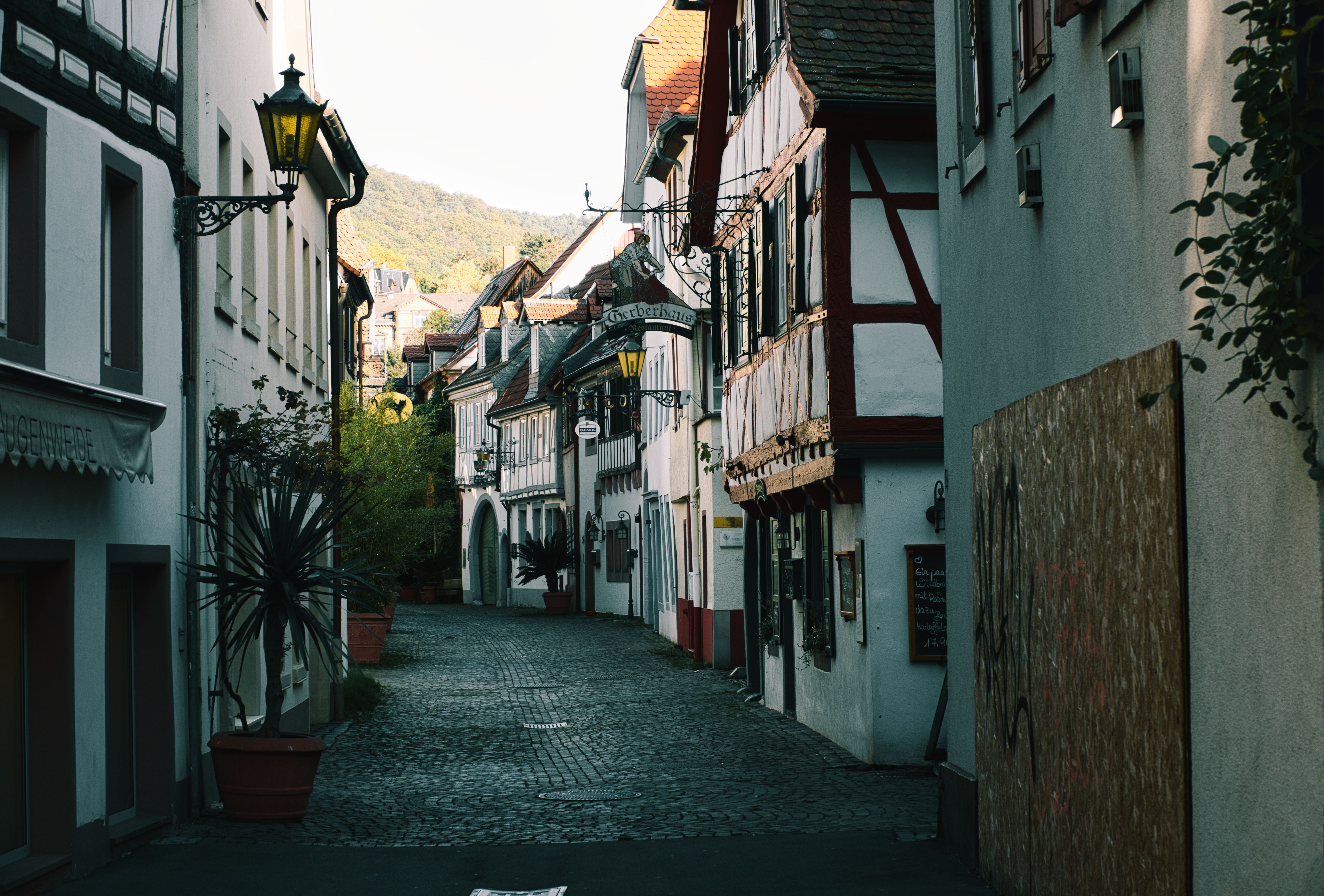 Quiet village street with traditional houses