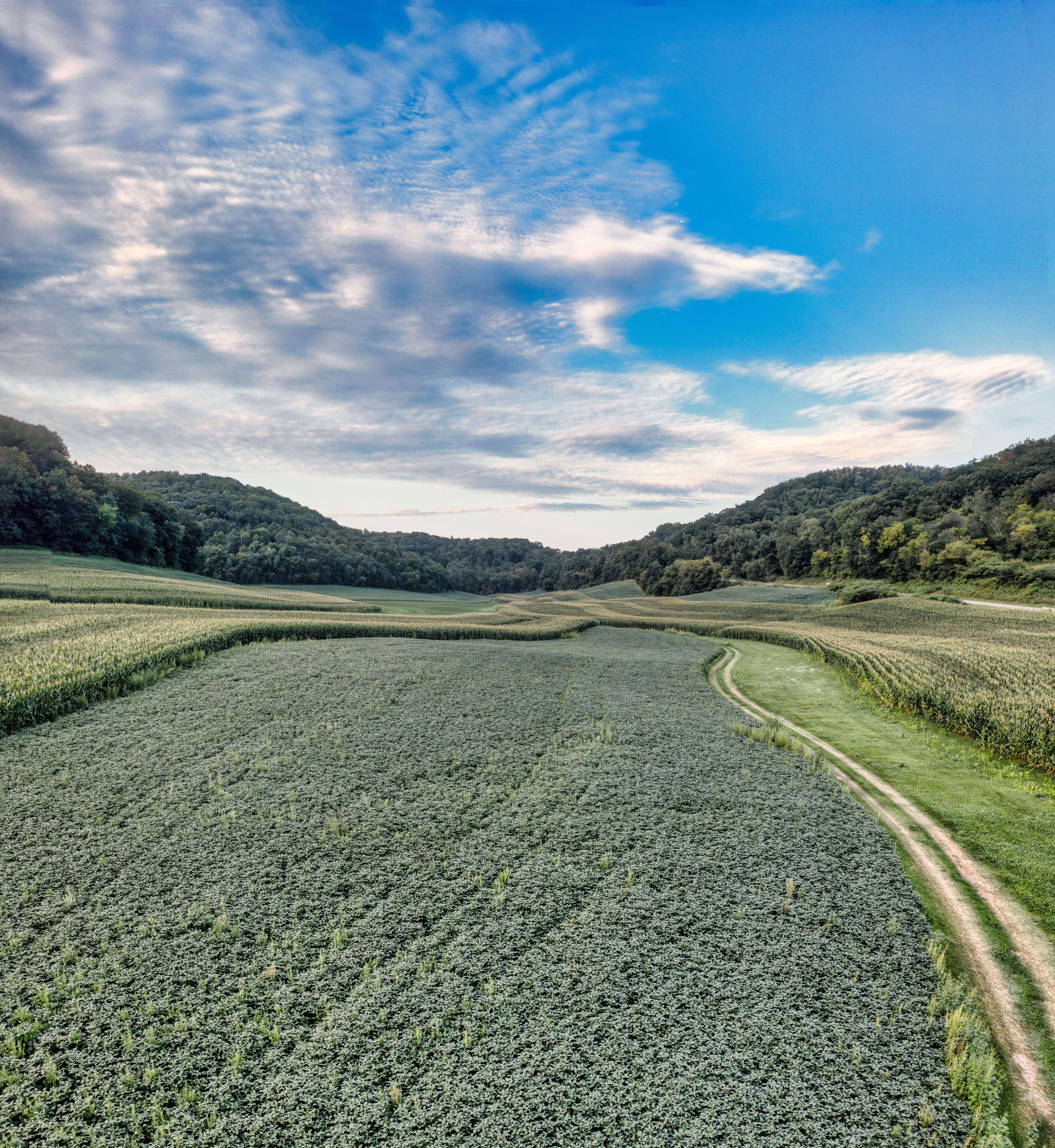 A picturesque view of lush farmland and hills under a vibrant summer sky in Nelson, WI.