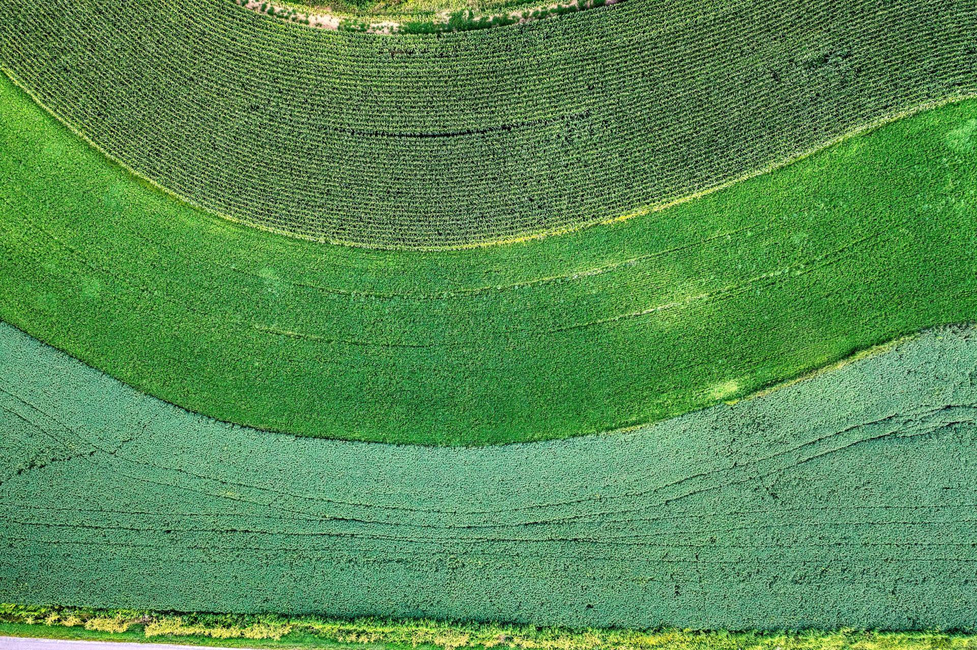 Stunning aerial shot of lush green fields in Nelson, Wisconsin showcasing agricultural patterns.