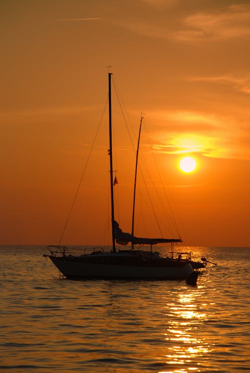 Immagine gratuita di alba, albero, barca