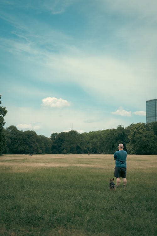 Man with Dog in Grassfield in Summer