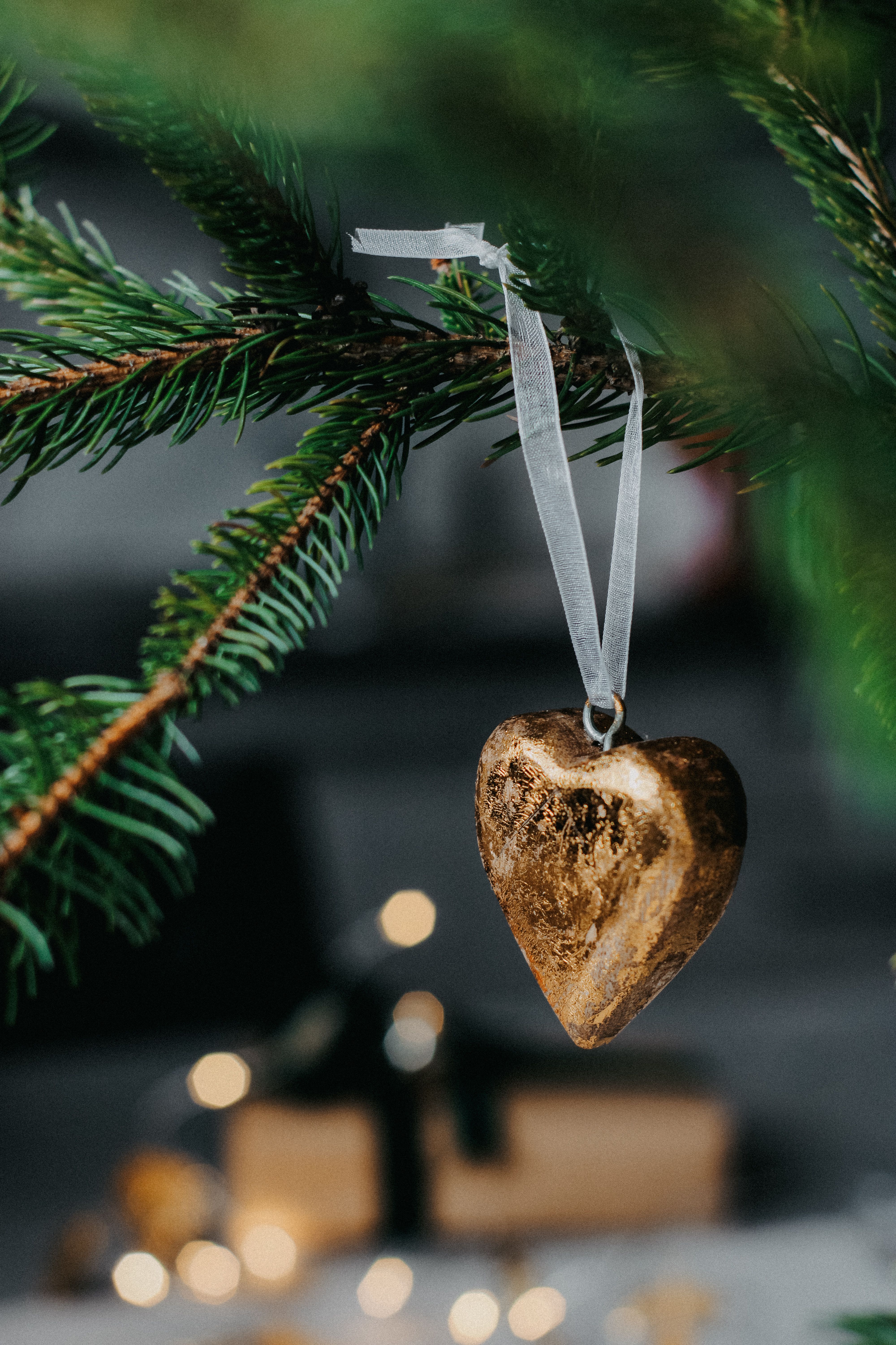 A heart-shaped ornament hanging from a pine branch, symbolizing festive decor.