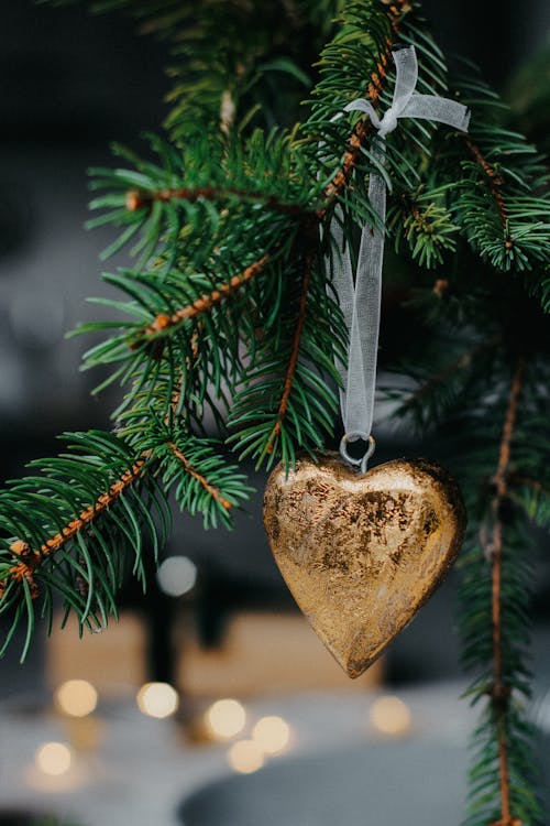 Foto profissional grátis de árvore de Natal, bola de Natal, coração