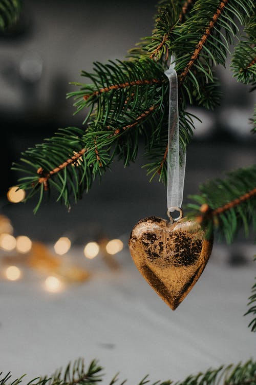 Foto profissional grátis de árvore de Natal, bola de Natal, coração