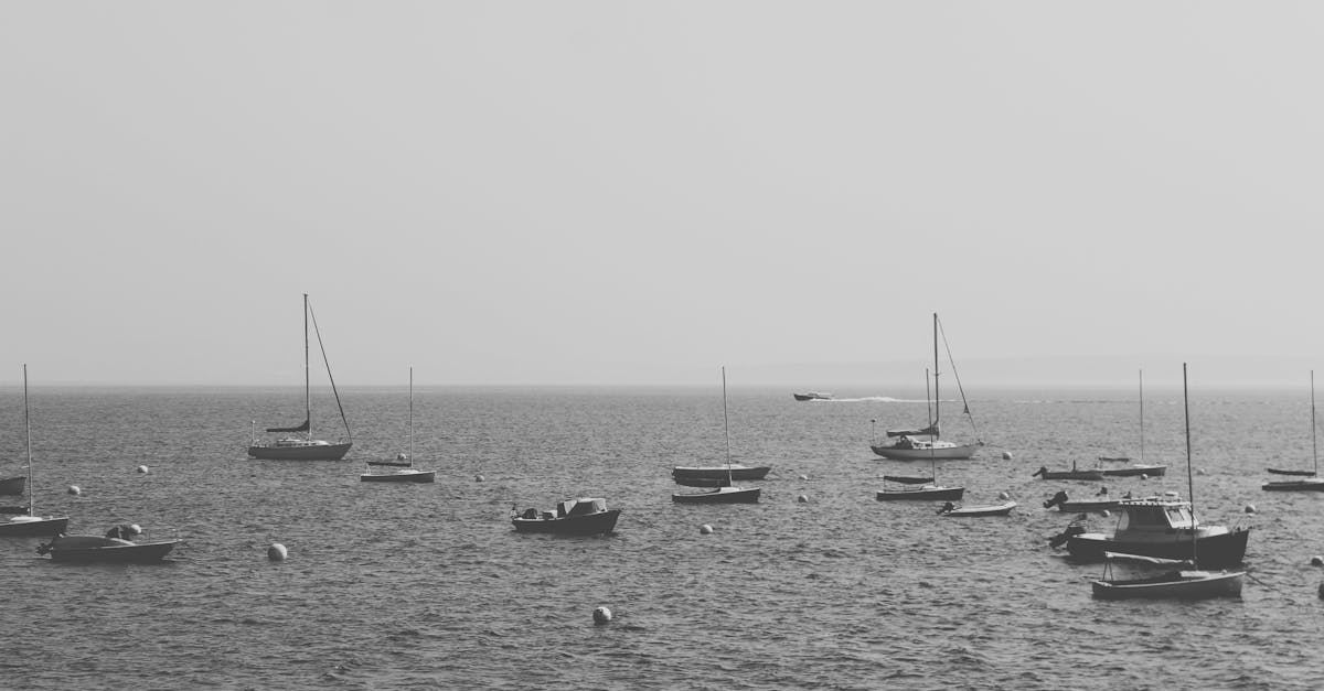 Free stock photo of black and white, boats, dark