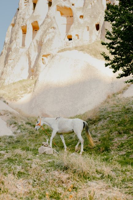 A serene image of a white horse grazing near Uçhisar Château in Turkey, surrounded by natural landscapes.