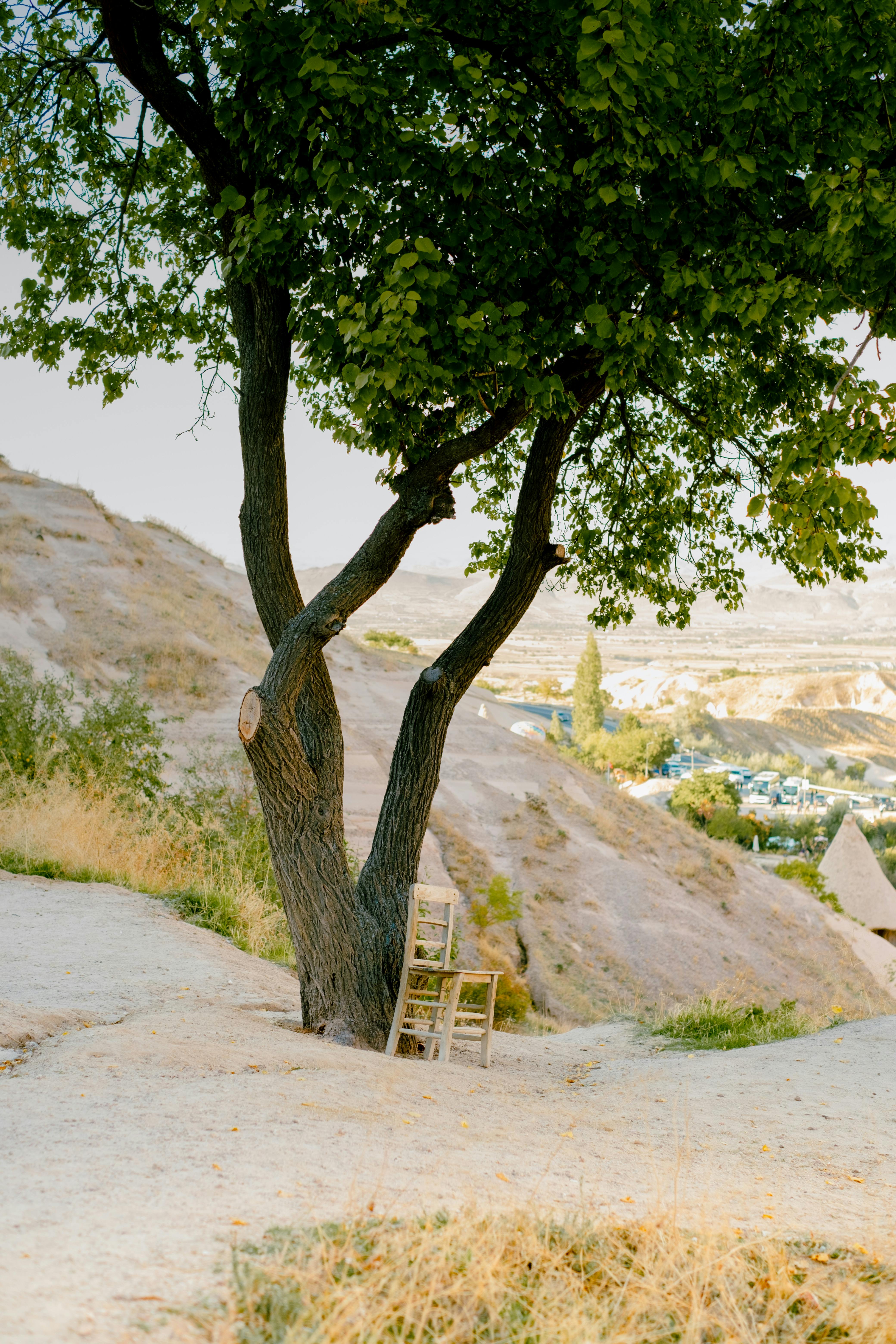 A solitary chair by a tree with Cappadocia landscape in Uçhisar, Türkiye.