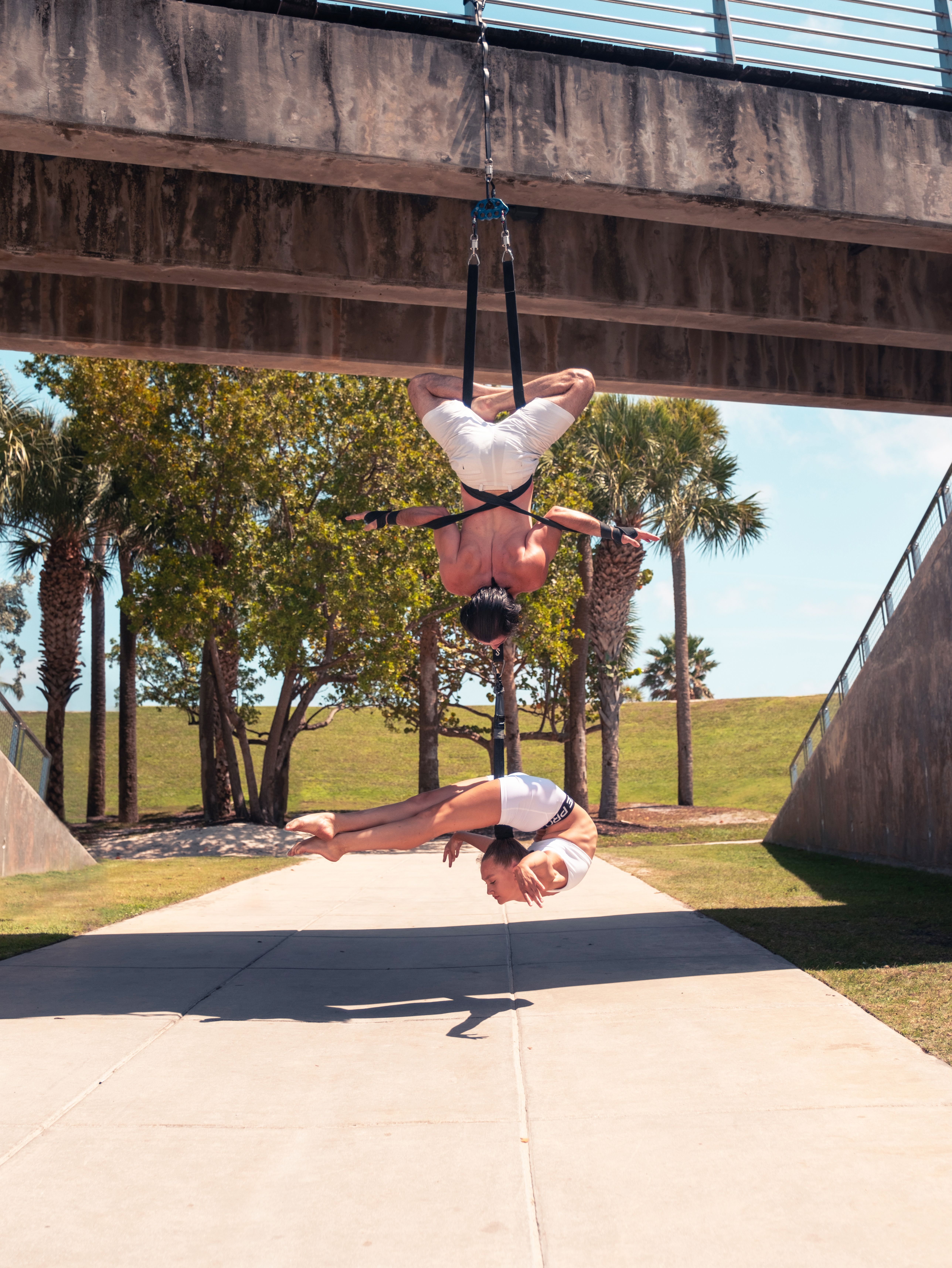 Gymnasts Hanging on Ropes Under Bridge · Free Stock Photo