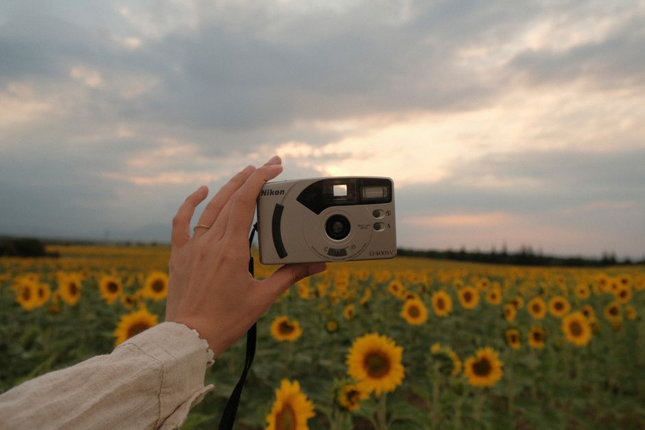 A hand holds a vintage camera against a field of blooming sunflowers during sunset.