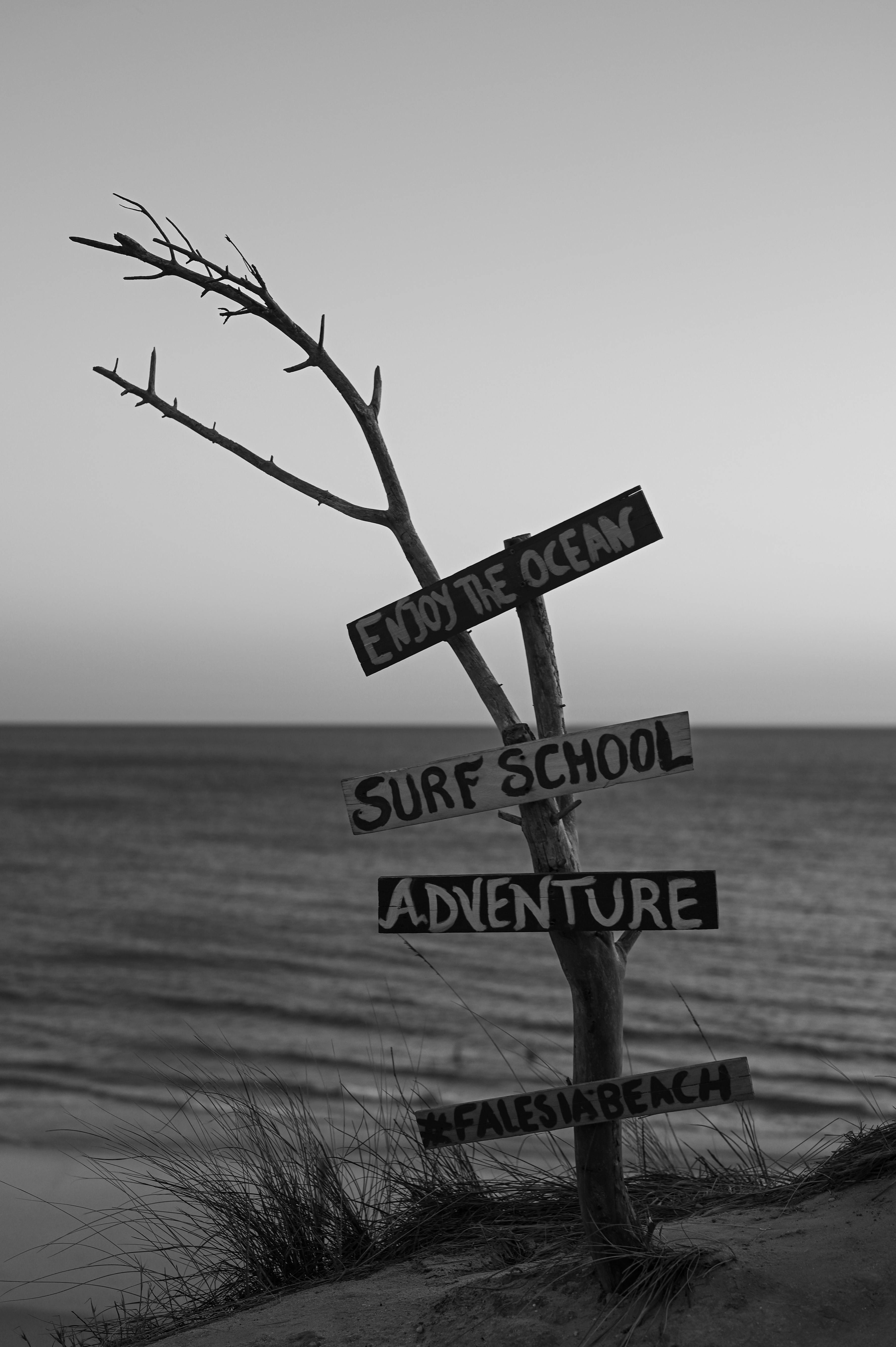 Black and white photo of a rustic signpost at Falesia Beach, Portugal.