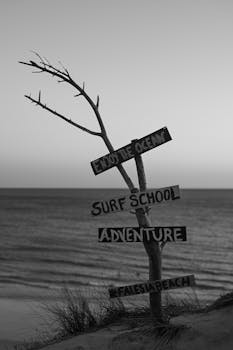 al属, 优美的风景, 冒險 的 免费素材图片