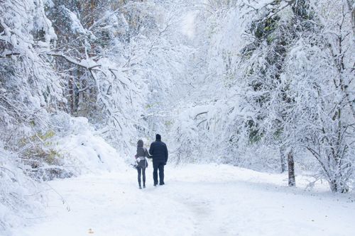Free A couple walks through a serene, snow-covered forest, capturing the tranquility of winter. Stock Photo