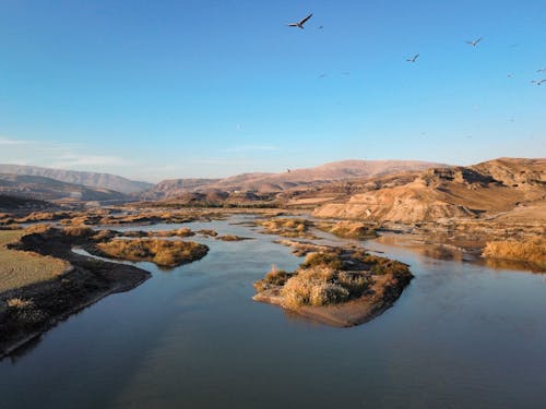 Birds Flying over a River in a Hilly Valley