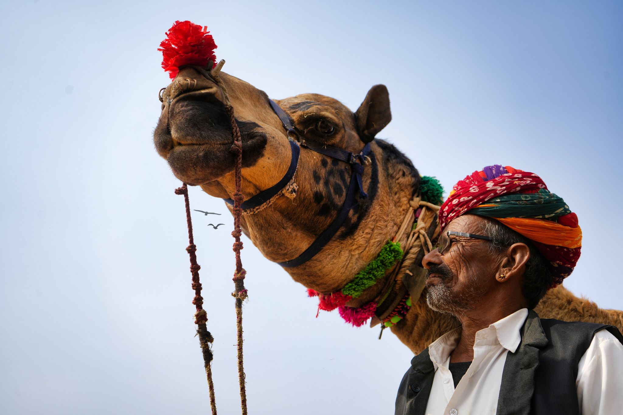 National Camel Research Farm