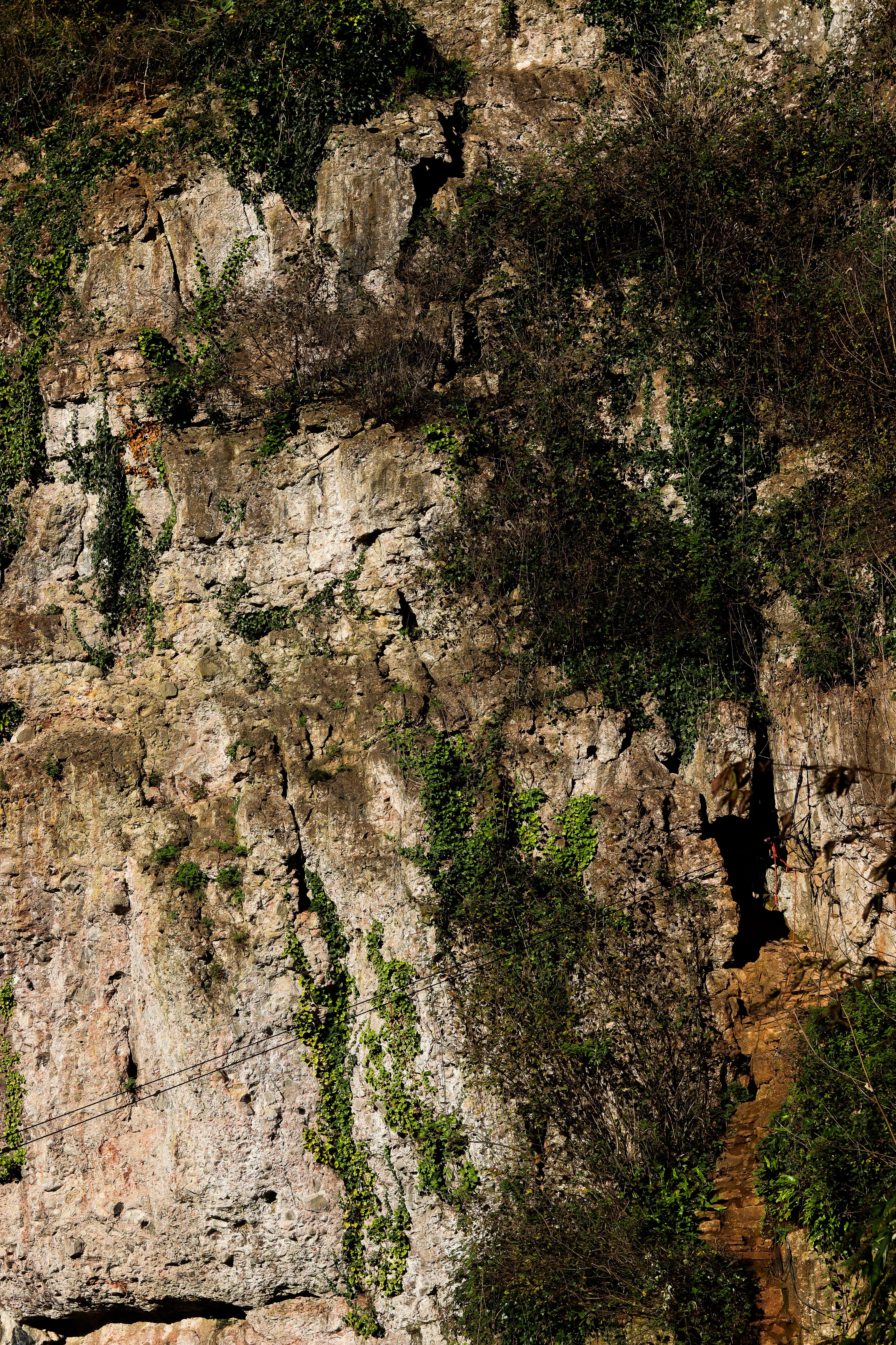 Persiapan Penting Sebelum Memulai Panjat Tebing di Batu Caves