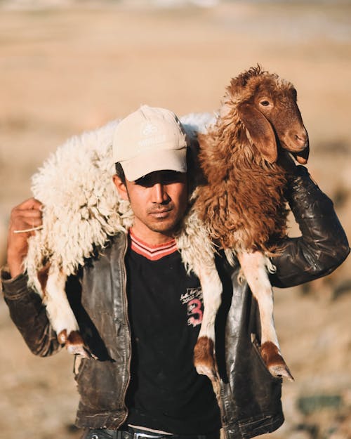 Δωρεάν στοκ φωτογραφιών με αγρόκτημα, αγρότης, άνδρας