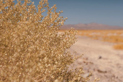 Gratis lagerfoto af affald, arbejdstegning, Argentina