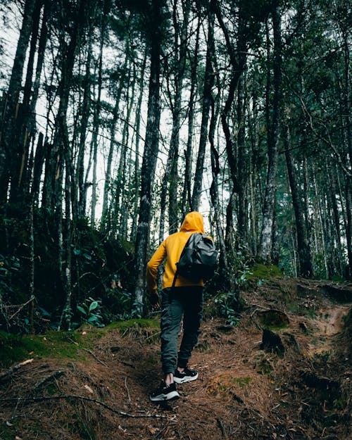 A Person Hiking with a Backpack